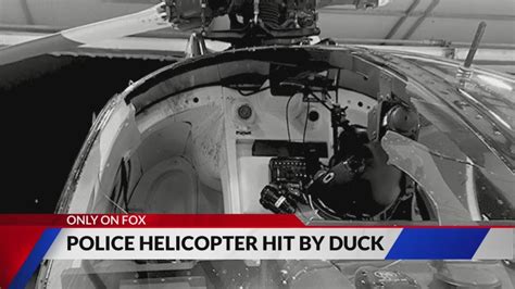 Police helicopter pilots survive duck strike